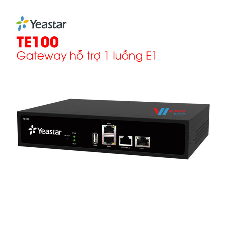 TE100